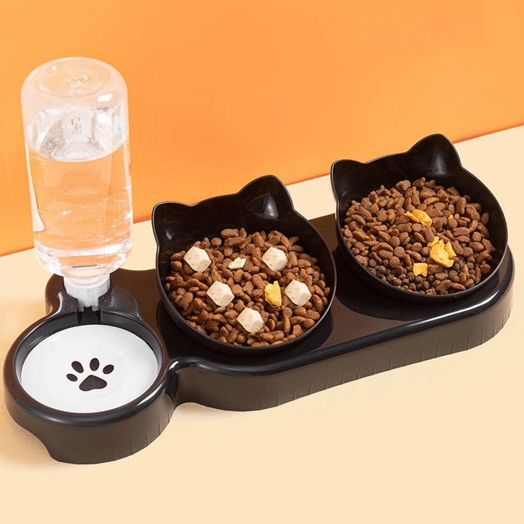 Petsha Plastic Raised Cat Dishes, Automatic Water Bottle 3 in 1 Pet Bowls 2 Food Bowls and Water Feeder Set Wet Dry Food Bowl Set for Cats Puppy
