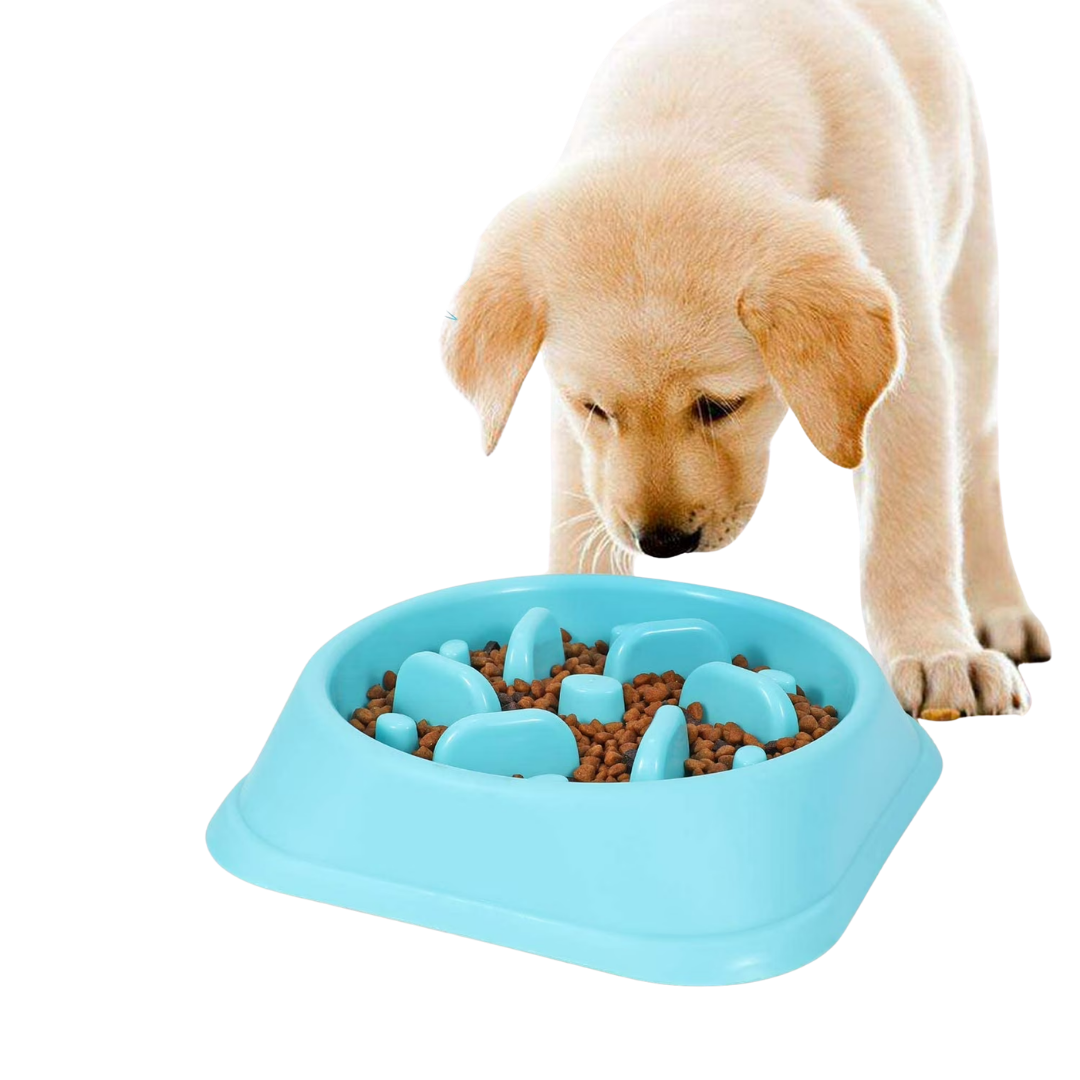 Petsha Slow Feeder Dog Bowl Non Slip Anti Choke Feeding Dish BPA Free,Blue