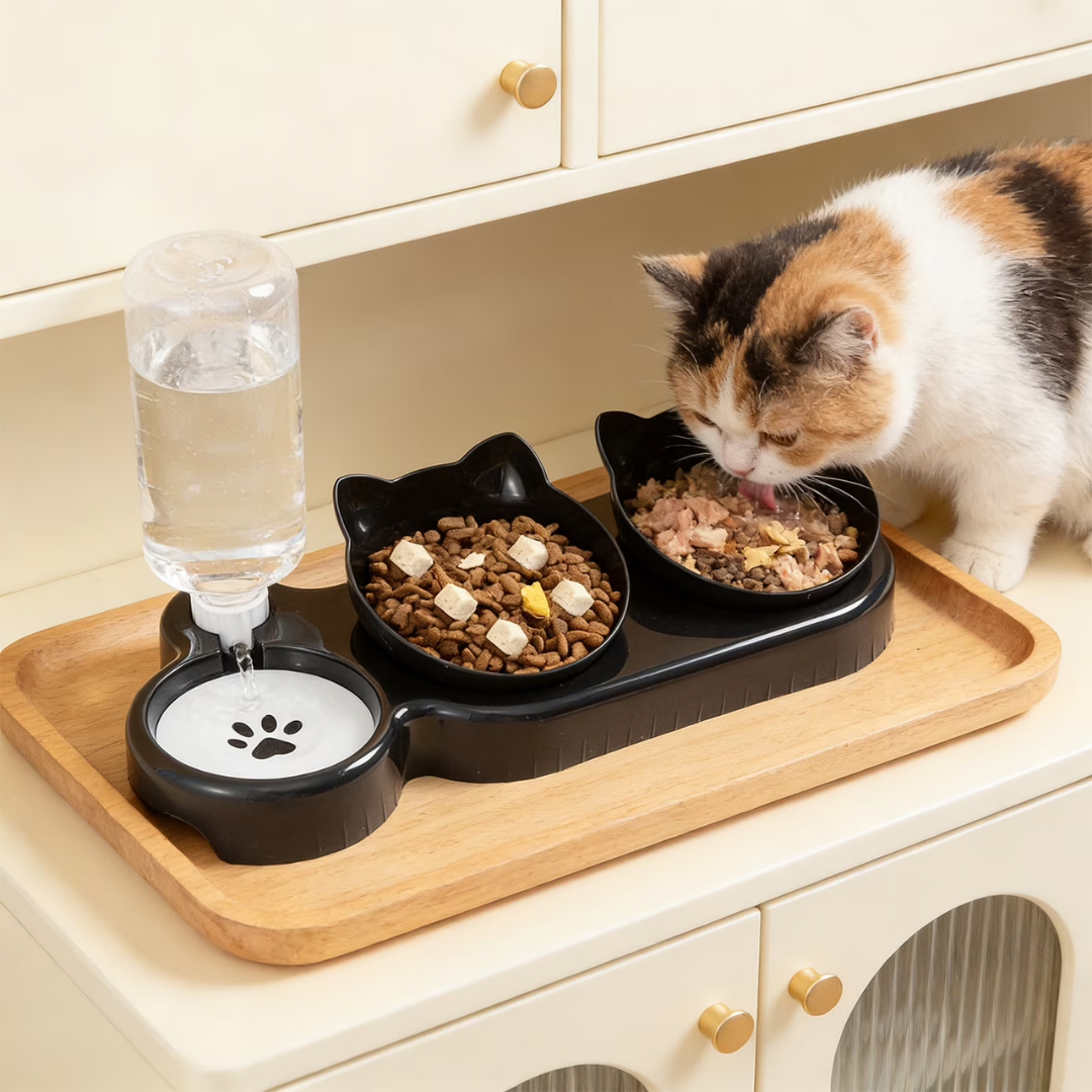 Petsha Plastic Raised Cat Dishes, Automatic Water Bottle 3 in 1 Pet Bowls 2 Food Bowls and Water Feeder Set Wet Dry Food Bowl Set for Cats Puppy