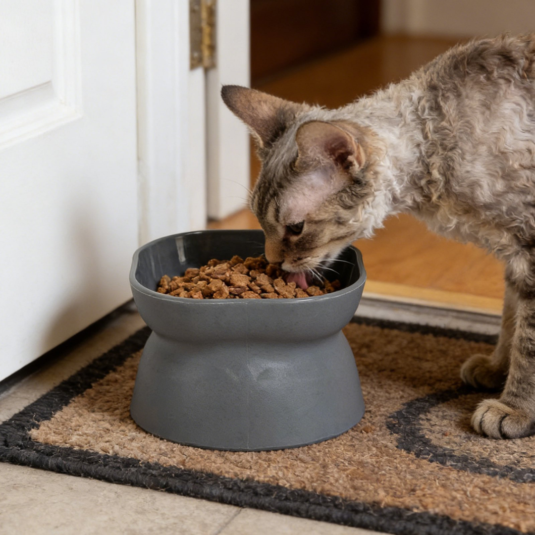 Elevated Tilted Pet Bowls for Cats, Ergonomic Angled Raised Feeder Set, Double-Sided Design, Non-Slip Food and Water Bowls for Easy Eating